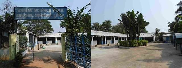 College Image